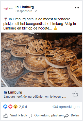 Provincie Limburg - Pure Minds
